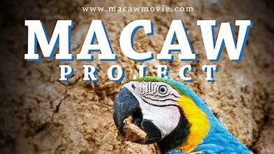 The Macaw Project Documentary